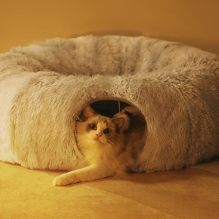 Kitty Knooze Kave Bed