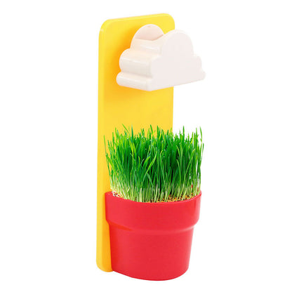 Rainy Cloud Watering Pot