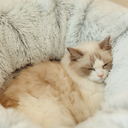 Kitty Knooze Kave Bed