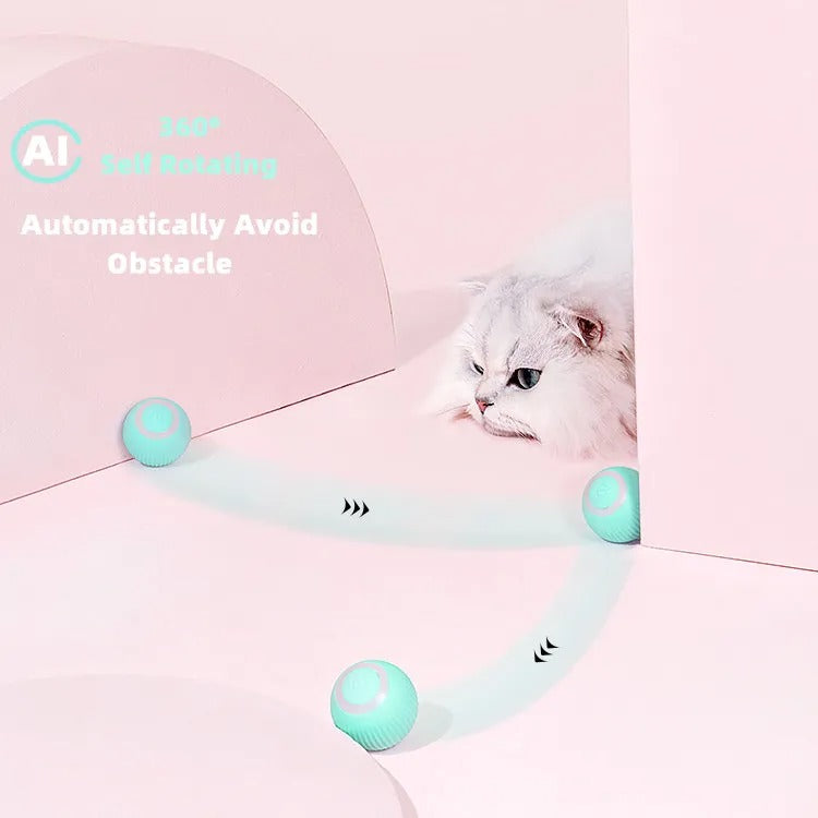 The Felino Frenzy Playtime Chaser