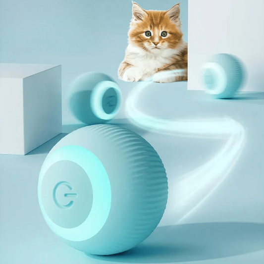 The Felino Frenzy Playtime Chaser
