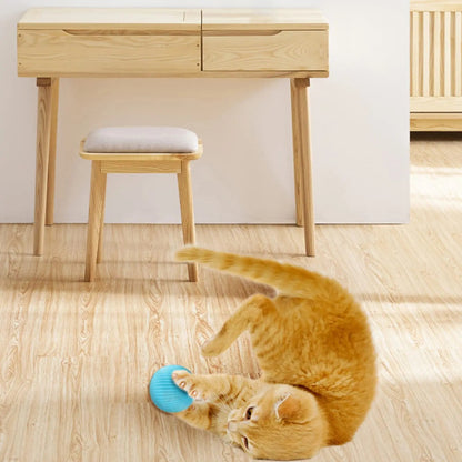 The Felino Frenzy Playtime Chaser