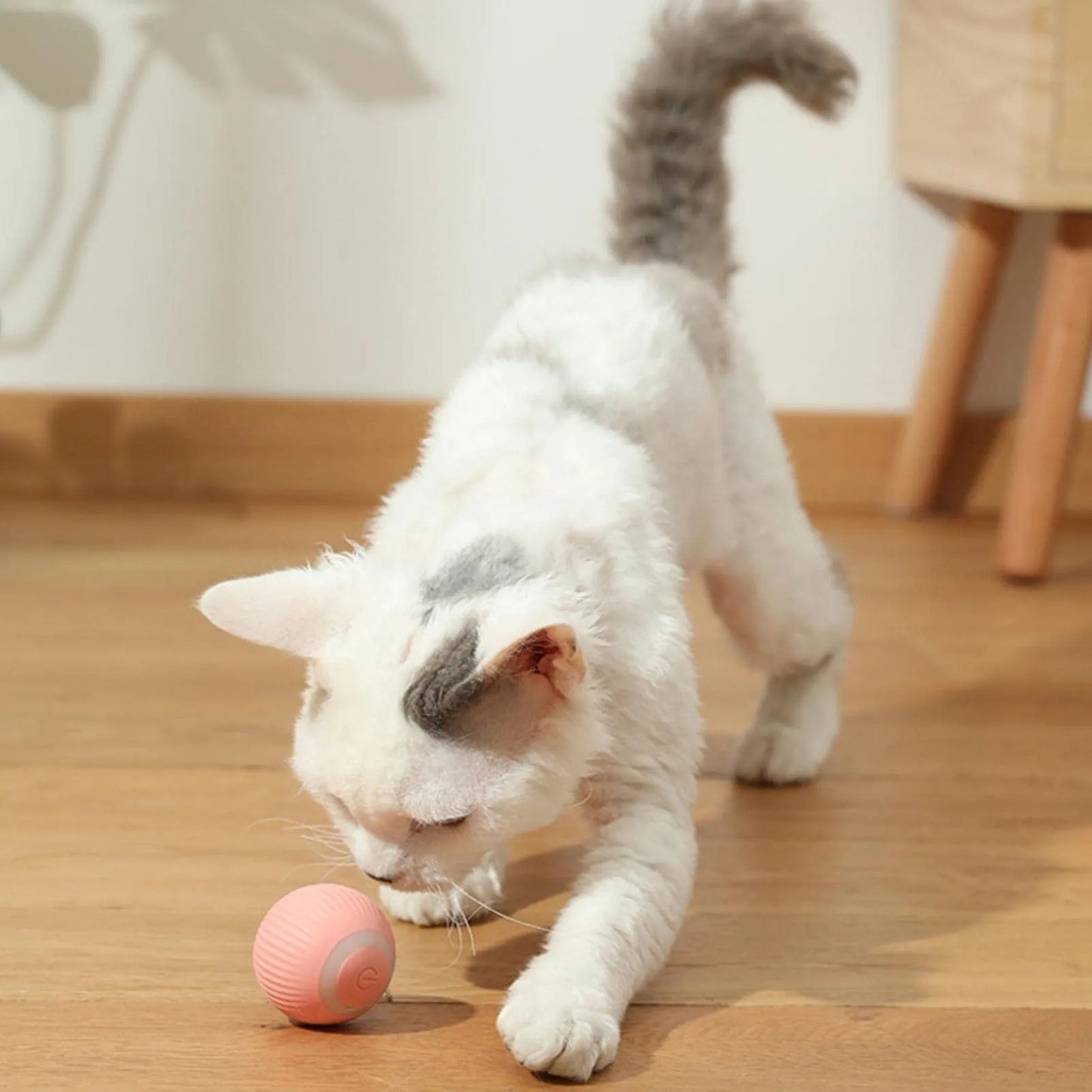 The Felino Frenzy Playtime Chaser