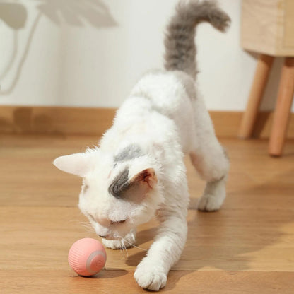 The Felino Frenzy Playtime Chaser