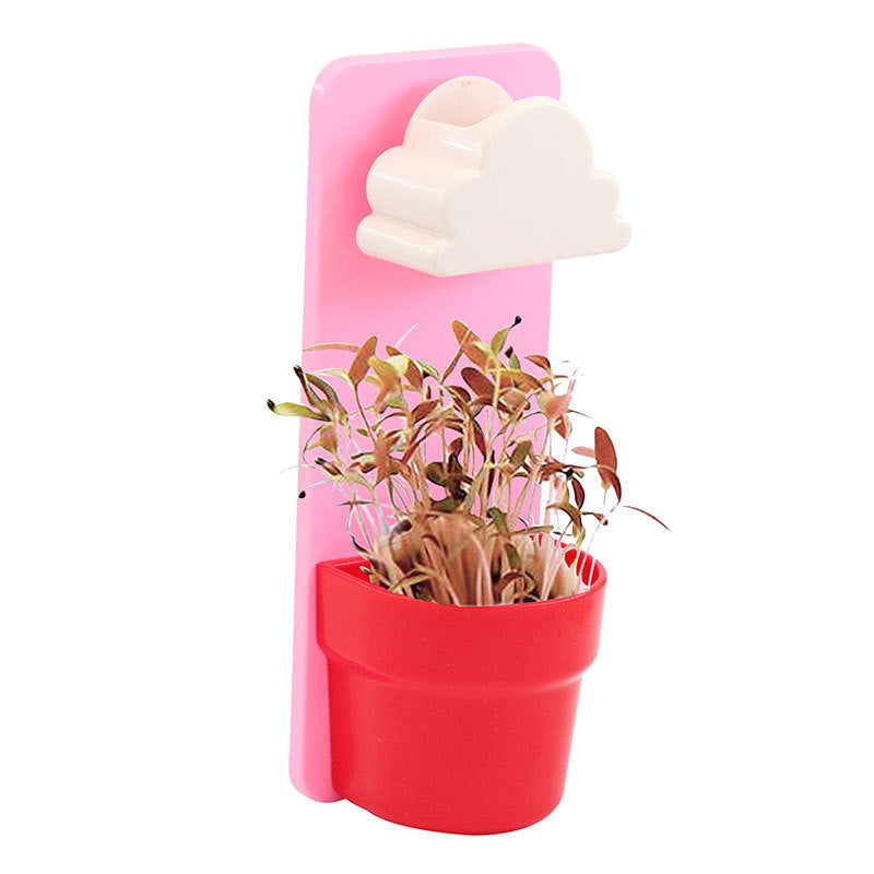 Rainy Cloud Watering Pot
