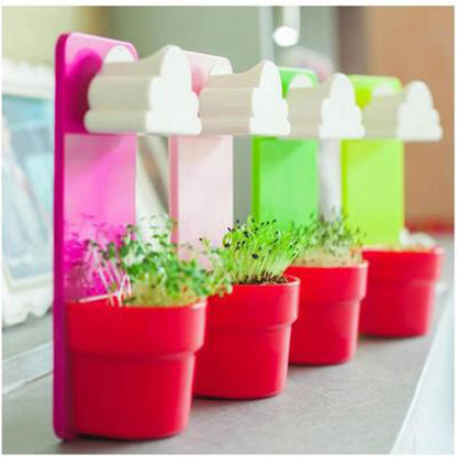 Rainy Cloud Watering Pot