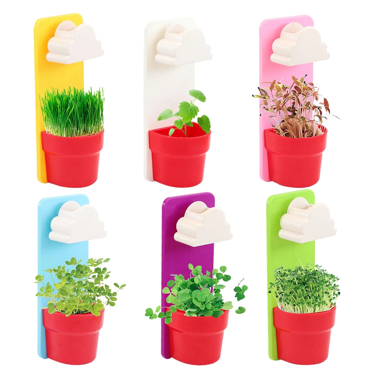 Rainy Cloud Watering Pot