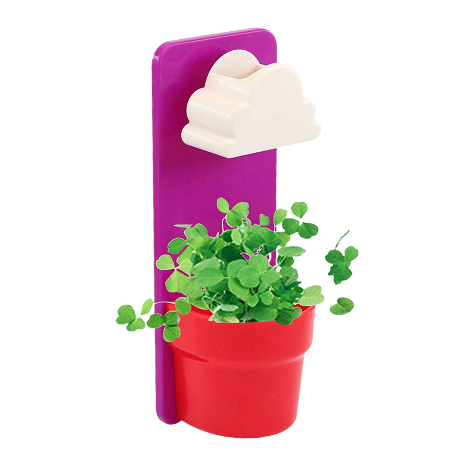 Rainy Cloud Watering Pot